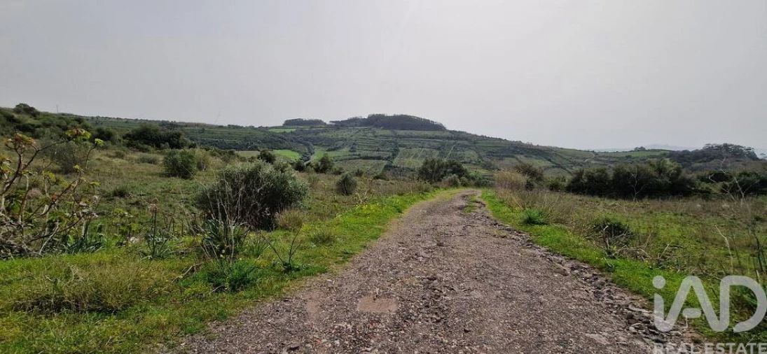 Terreno para Venda em Ericeira Foto 4