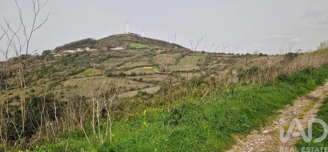 Terreno para Venda em Ericeira Foto 21
