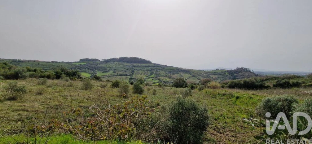 Terreno para Venda em Ericeira Foto 7