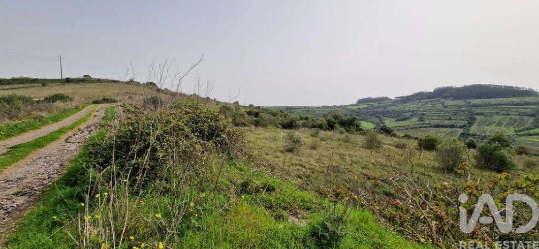 Terreno para Venda em Ericeira Foto 34