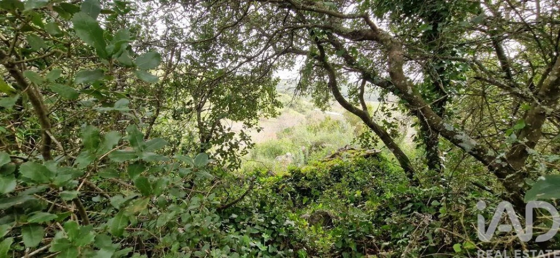 Terreno para Venda em Ericeira Foto 39