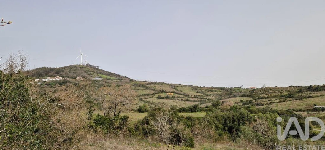 Terreno para Venda em Ericeira Foto 29