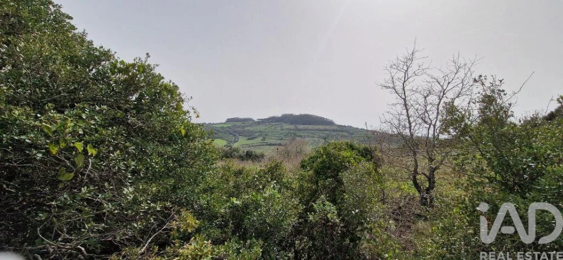 Terreno para Venda em Ericeira Foto 26