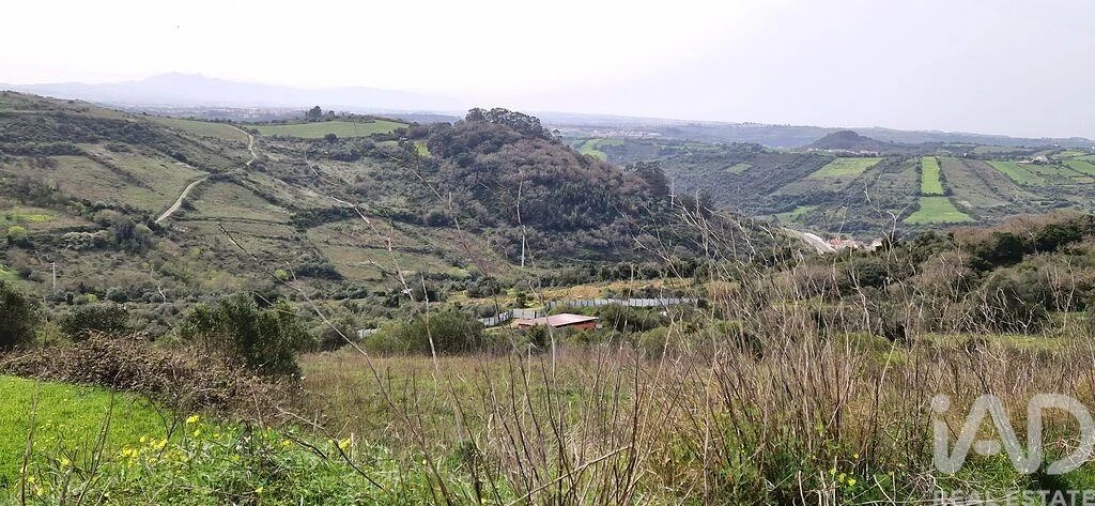 Terreno para Venda em Ericeira Foto 6