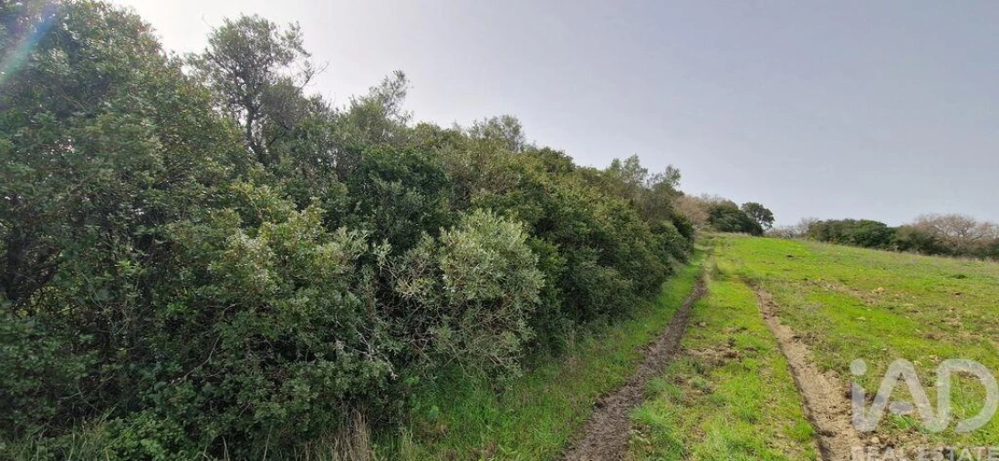 Terreno para Venda em Ericeira Foto 11