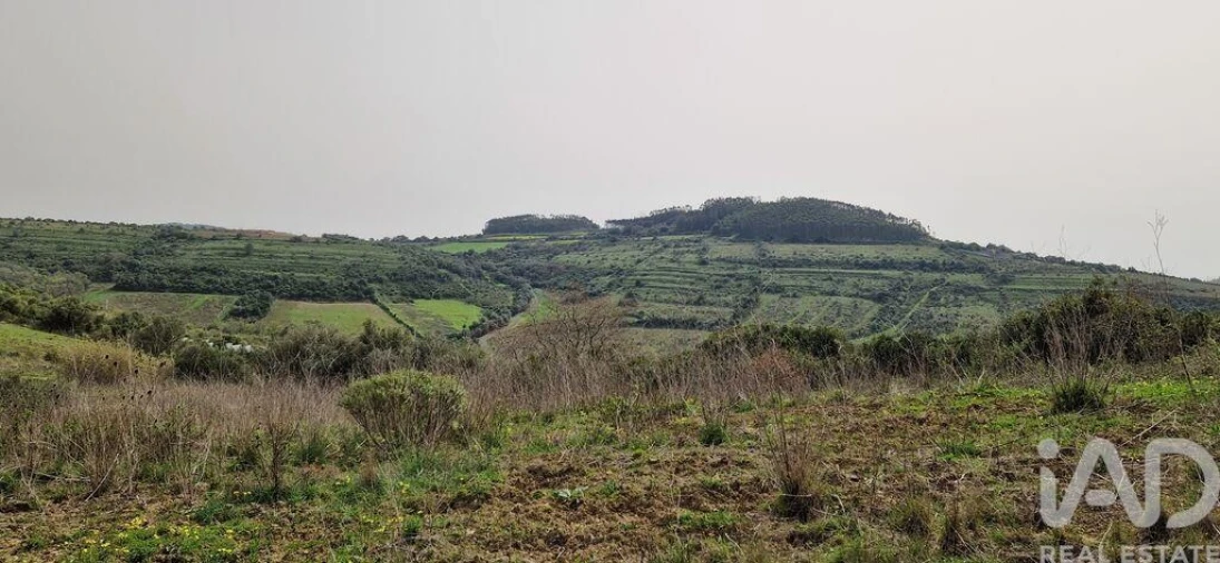 Terreno para Venda em Ericeira Foto 30