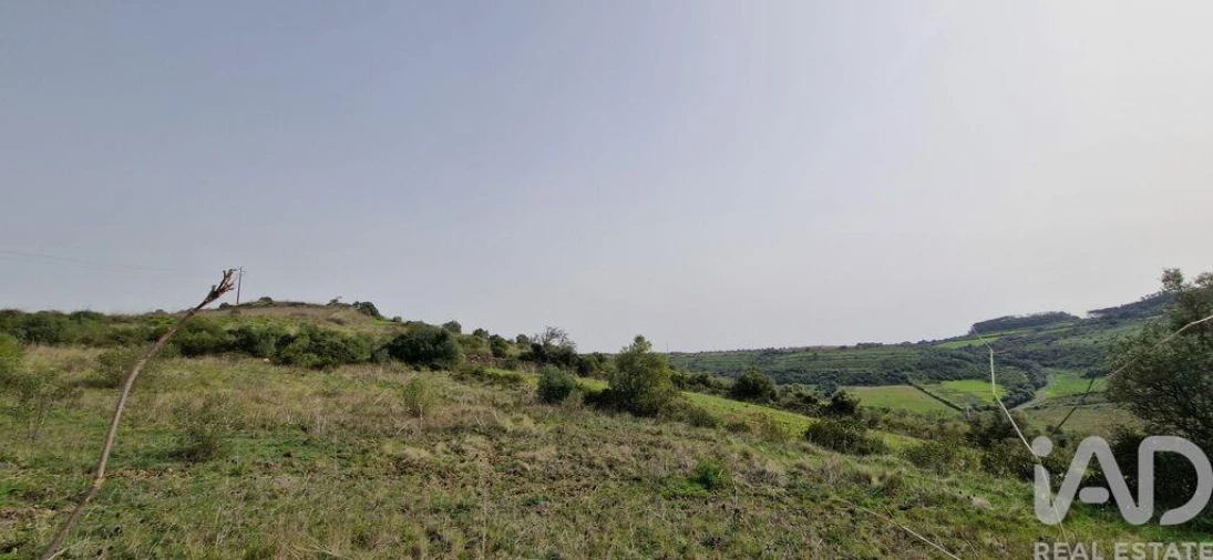 Terreno para Venda em Ericeira Foto 20