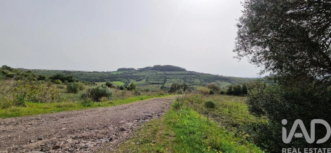 Terreno para Venda em Ericeira Foto 10