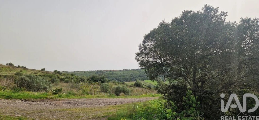 Terreno para Venda em Ericeira Foto 16