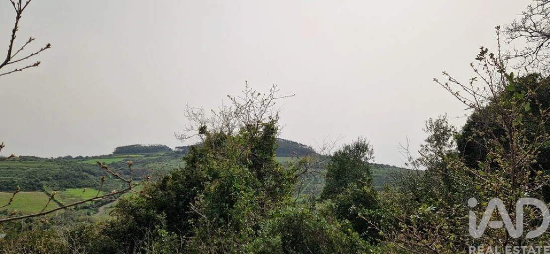 Terreno para Venda em Ericeira Foto 31
