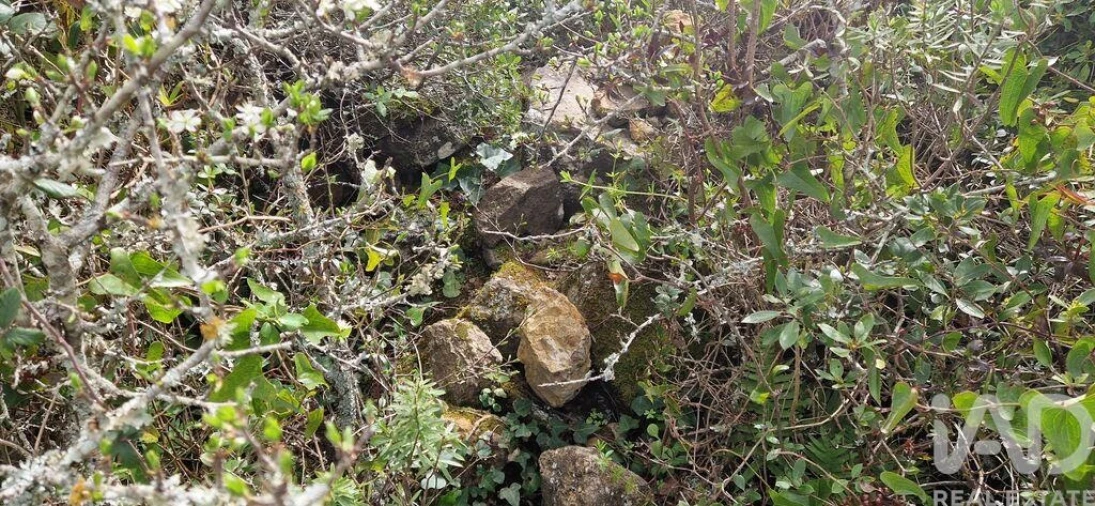 Terreno para Venda em Ericeira Foto 22