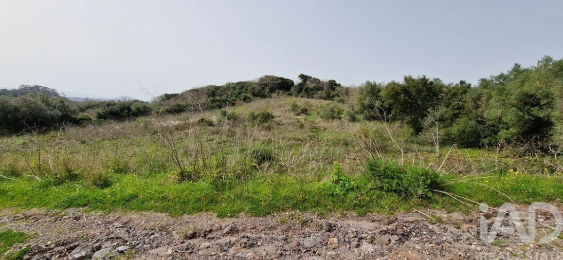 Terreno para Venda em Ericeira Foto 32