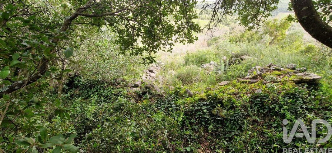 Terreno para Venda em Ericeira Foto 13