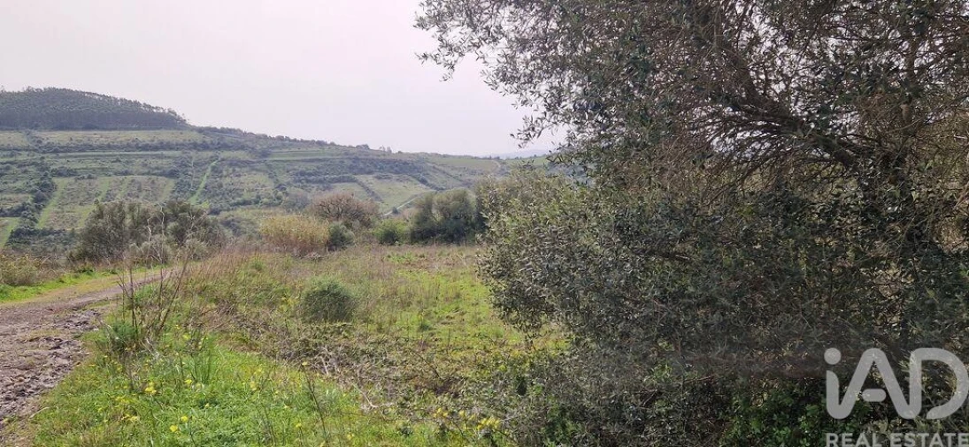 Terreno para Venda em Ericeira Foto 27