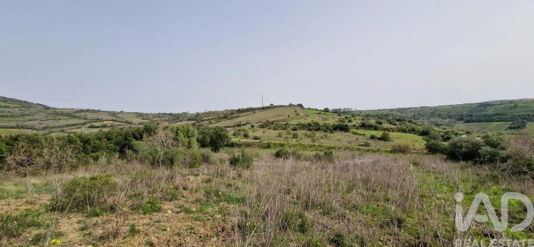 Terreno para Venda em Ericeira Foto 36