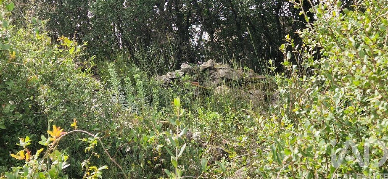 Terreno para Venda em Ericeira Foto 3