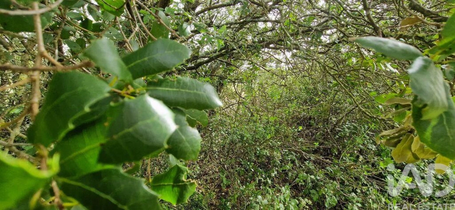 Terreno para Venda em Ericeira Foto 23