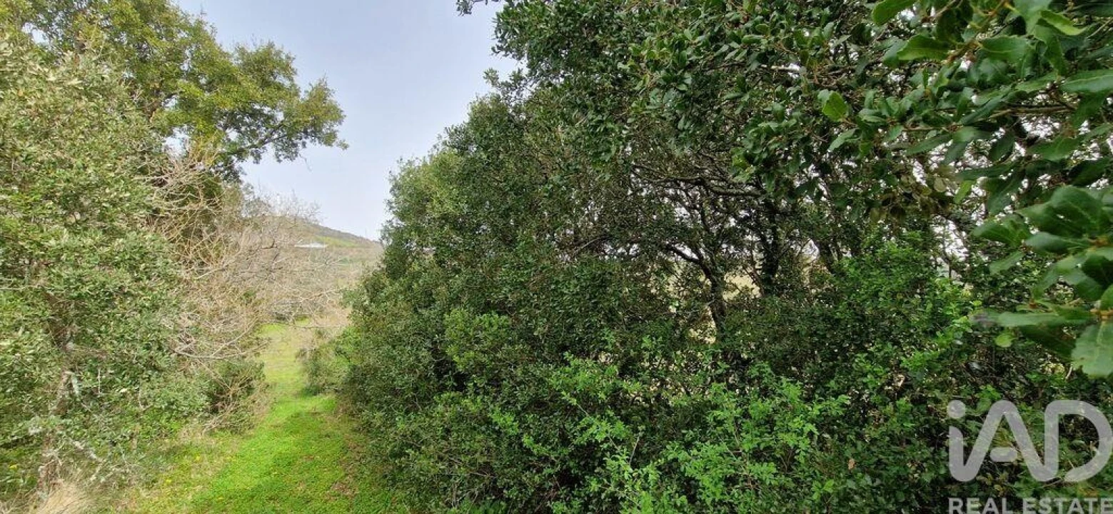 Terreno para Venda em Ericeira Foto 14
