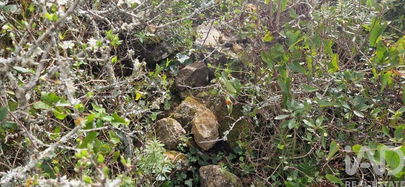 Terreno para Venda em Ericeira Foto 22