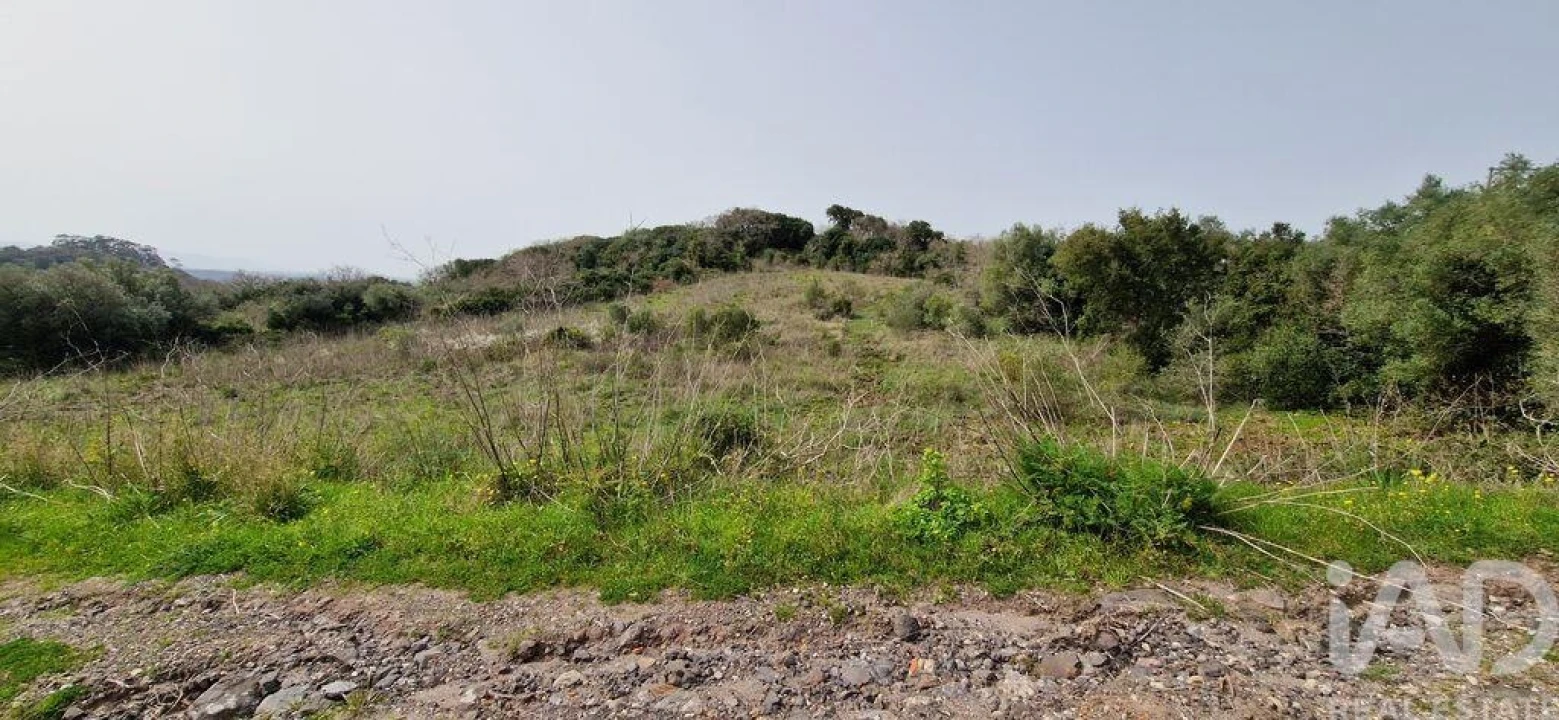 Terreno para Venda em Ericeira Foto 32