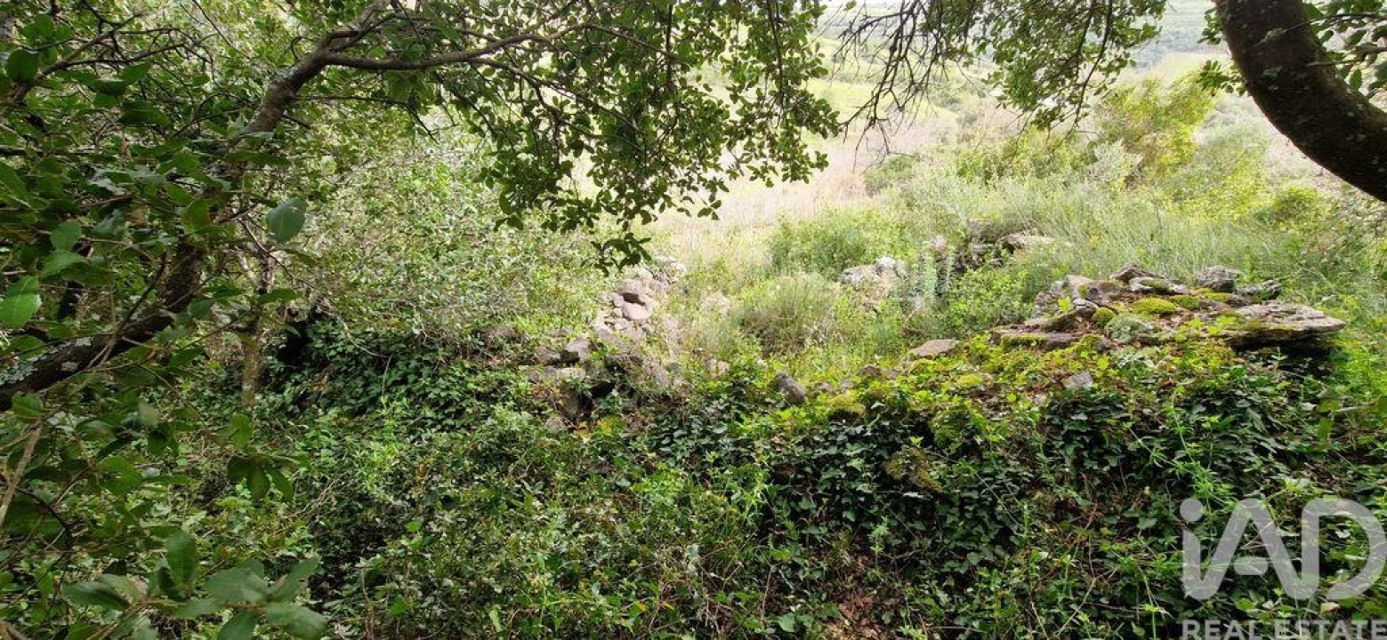 Terreno para Venda em Ericeira Foto 13