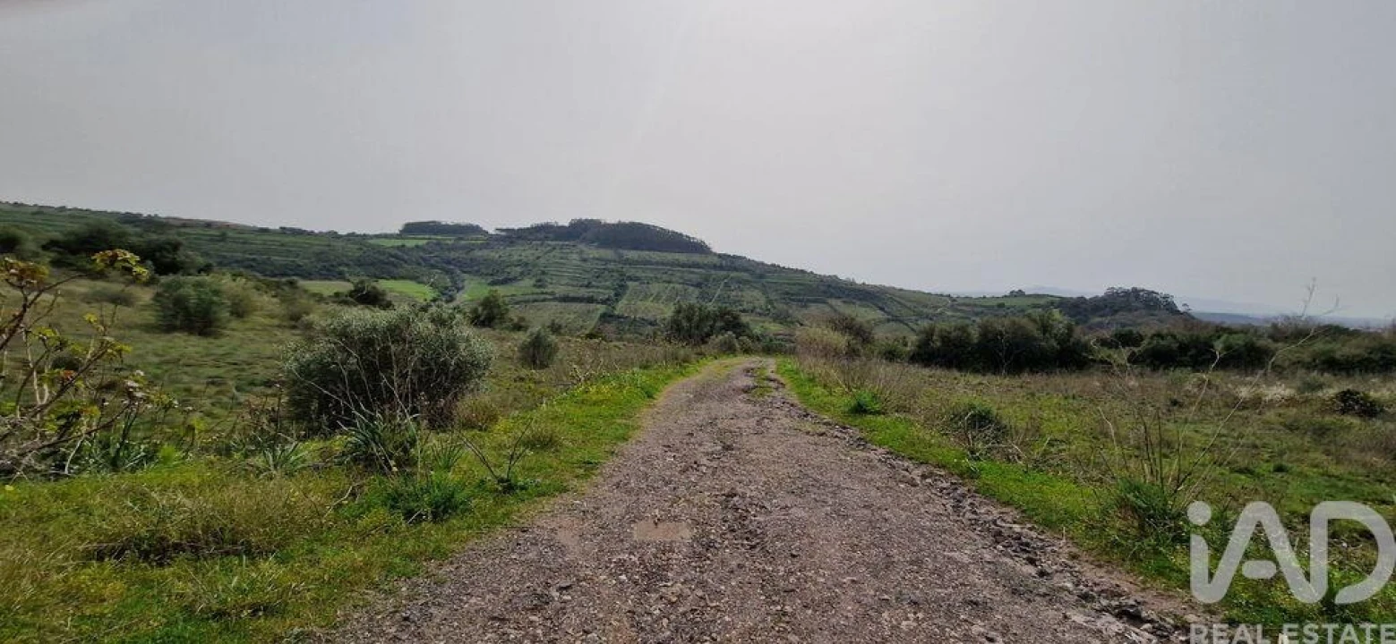 Terreno para Venda em Ericeira Foto 35