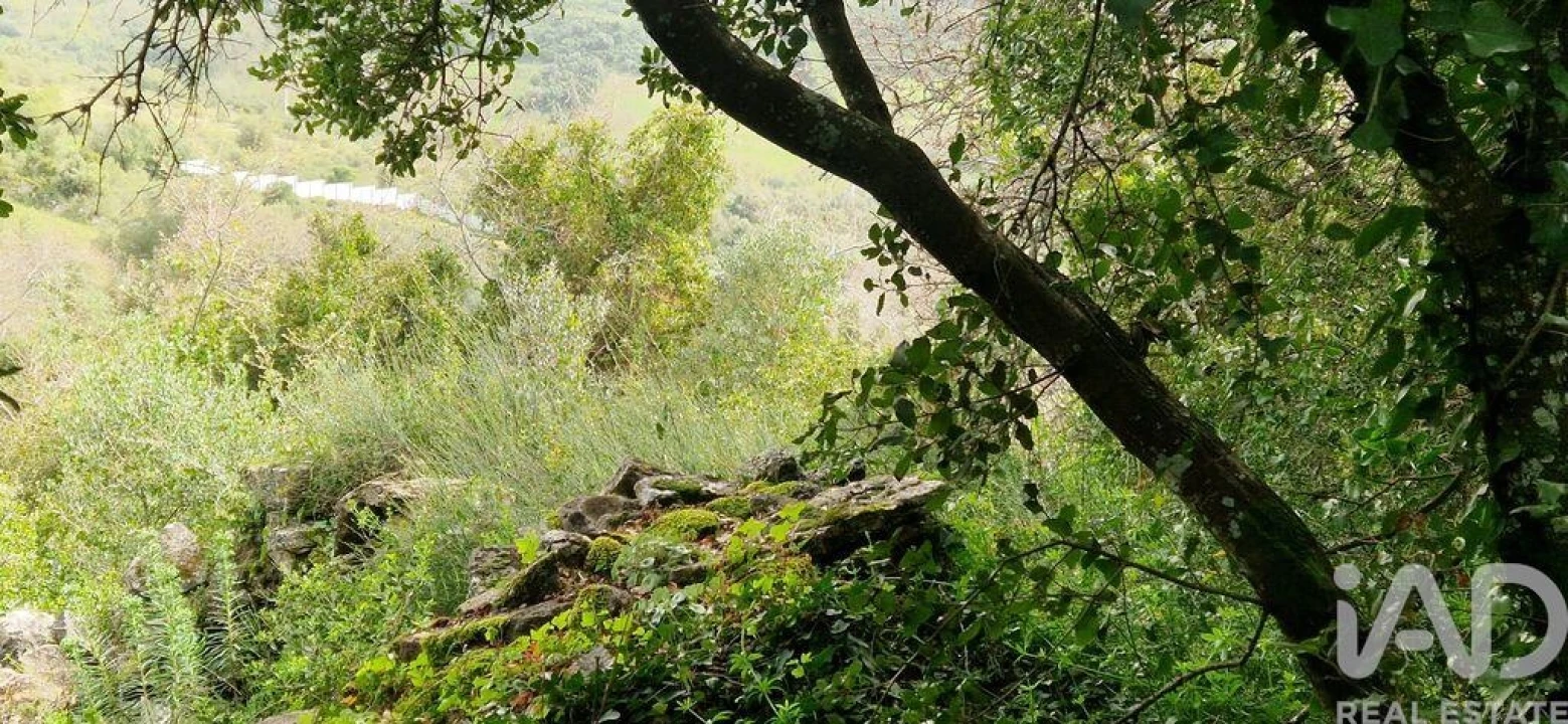 Terreno para Venda em Ericeira Foto 40