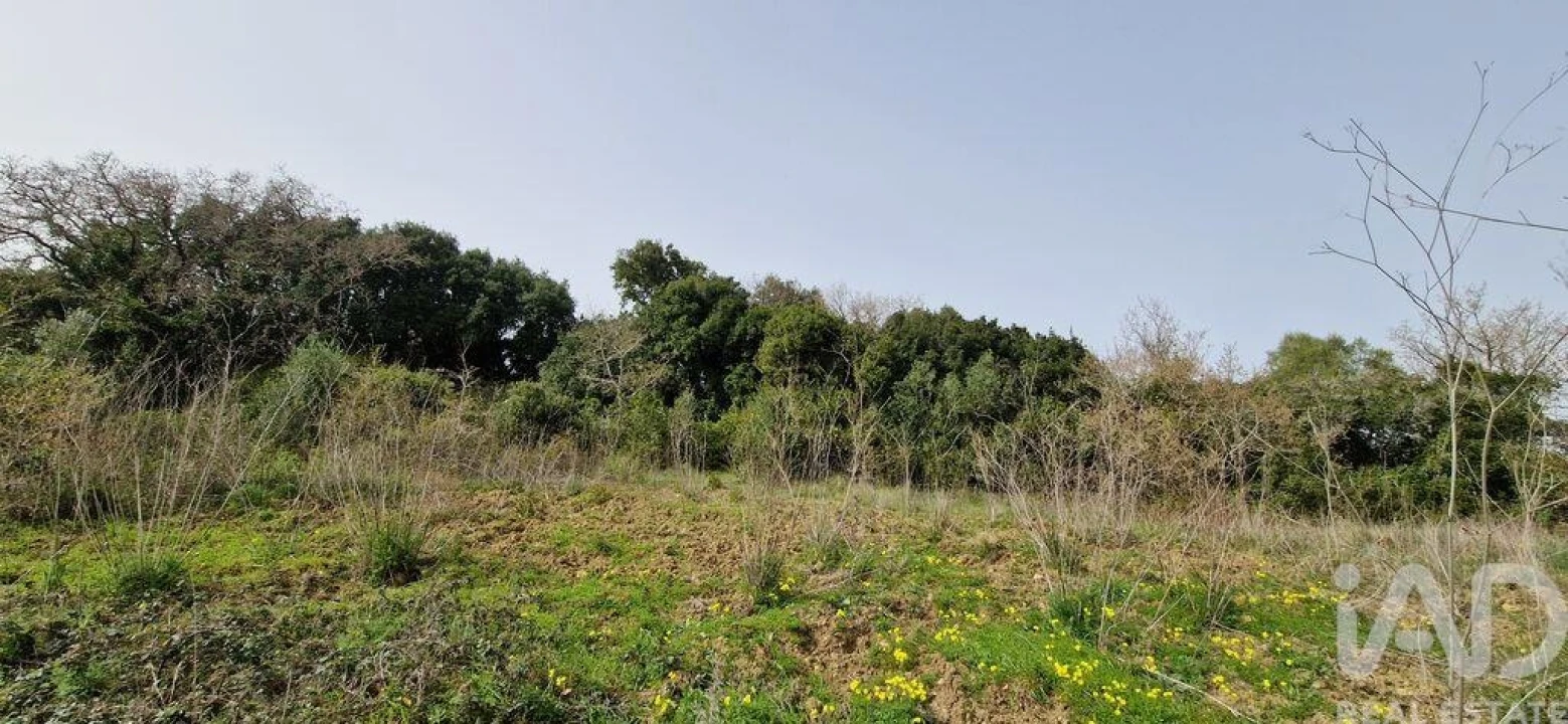 Terreno para Venda em Ericeira Foto 2