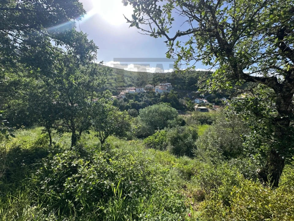 Moradia para Venda em Lousa Foto 5