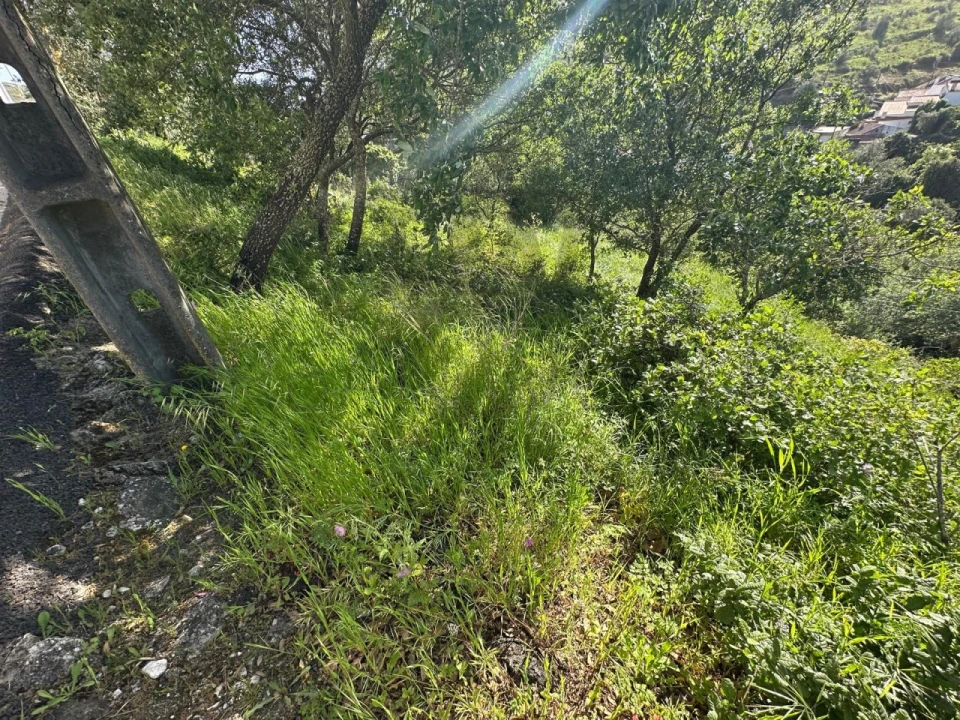 Moradia para Venda em Lousa Foto 6