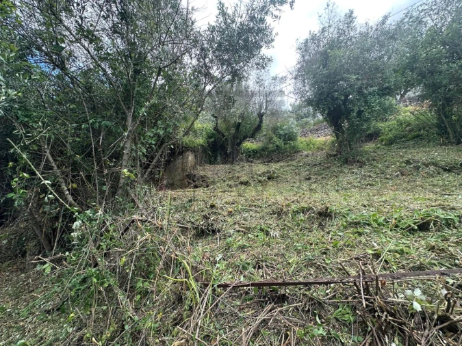 Moradia para Venda em Lousa Foto 7