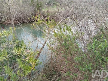 Terreno para Venda em Ameixial