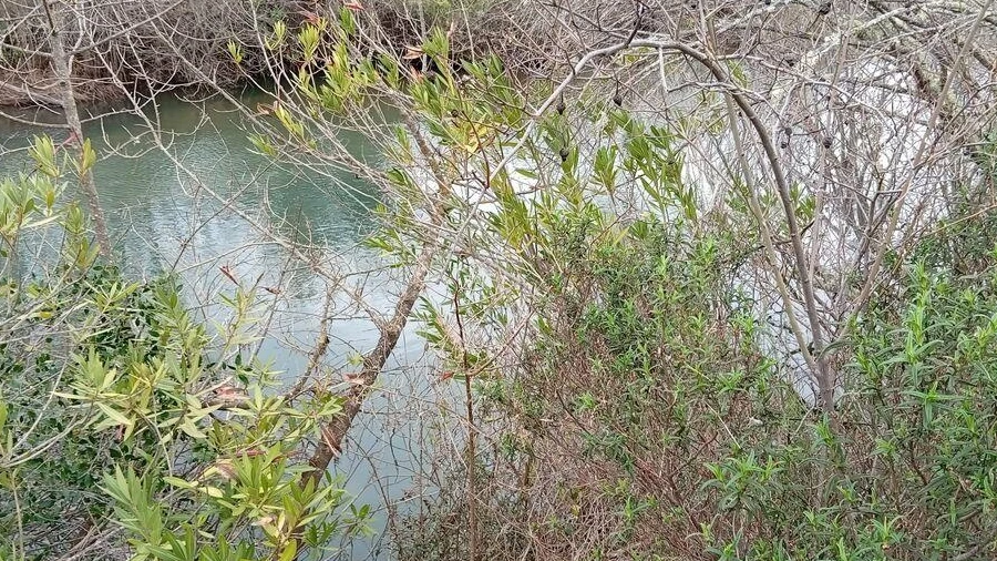 Terreno para Venda em Ameixial