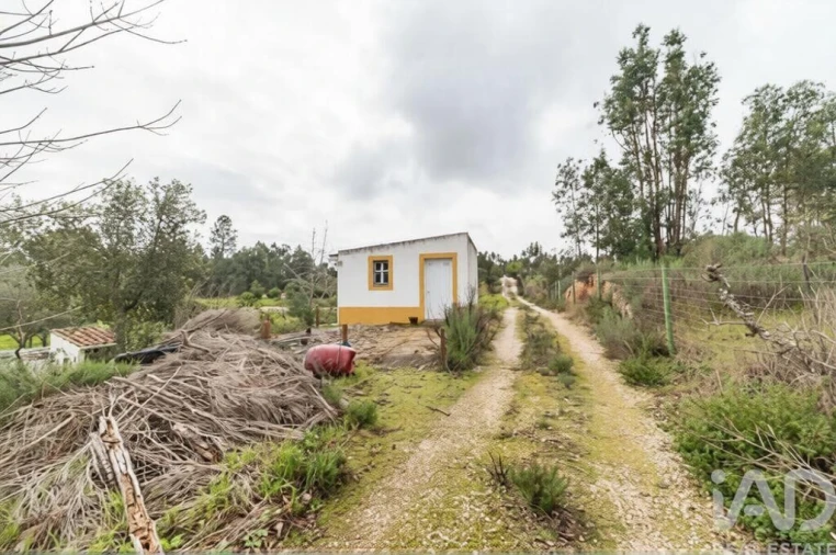 Quinta T3 para Venda em Coruche, Fajarda e Erra Foto 29