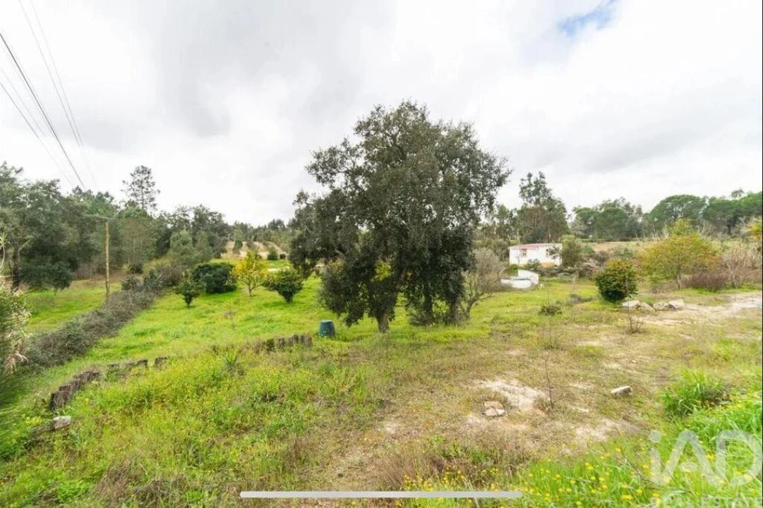 Quinta T3 para Venda em Coruche, Fajarda e Erra Foto 36