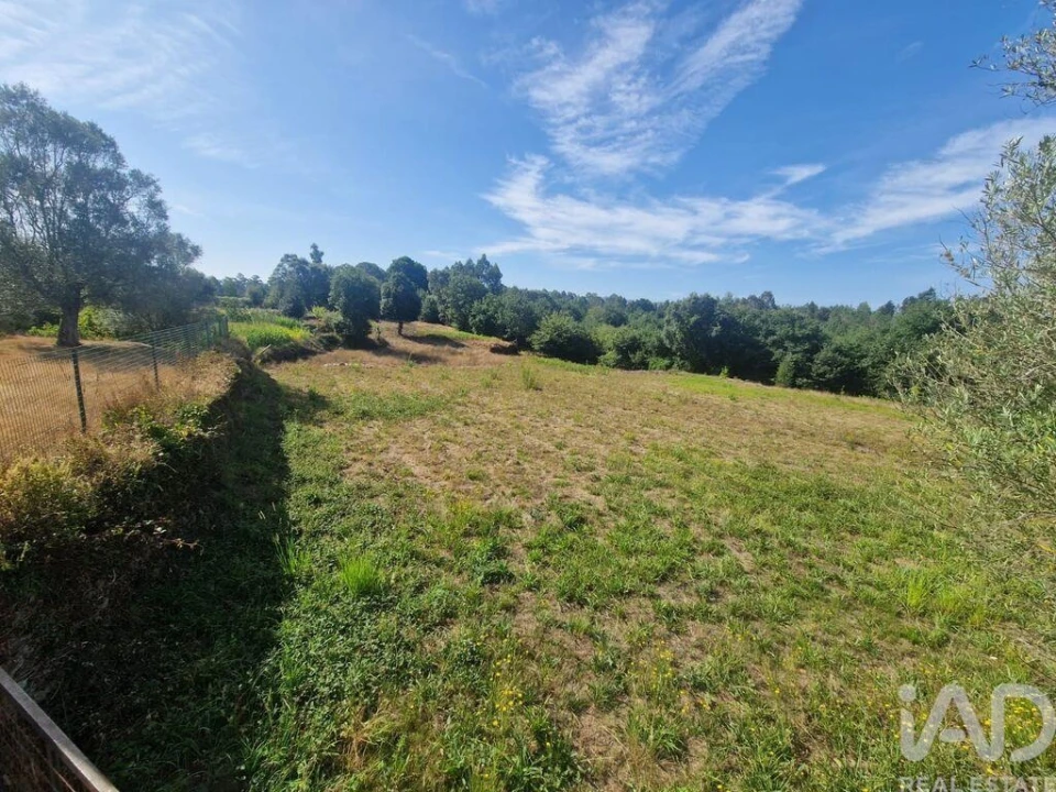 Terreno para Venda em Montaria Foto 3