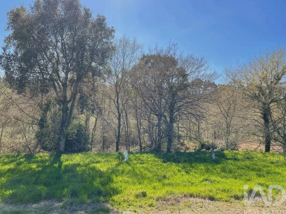 Terreno para Venda em Montaria Foto 7