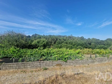 Terreno para Venda em Montaria