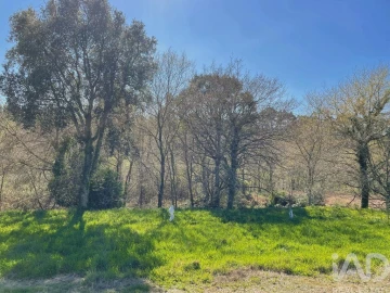 Terreno para Venda em Montaria