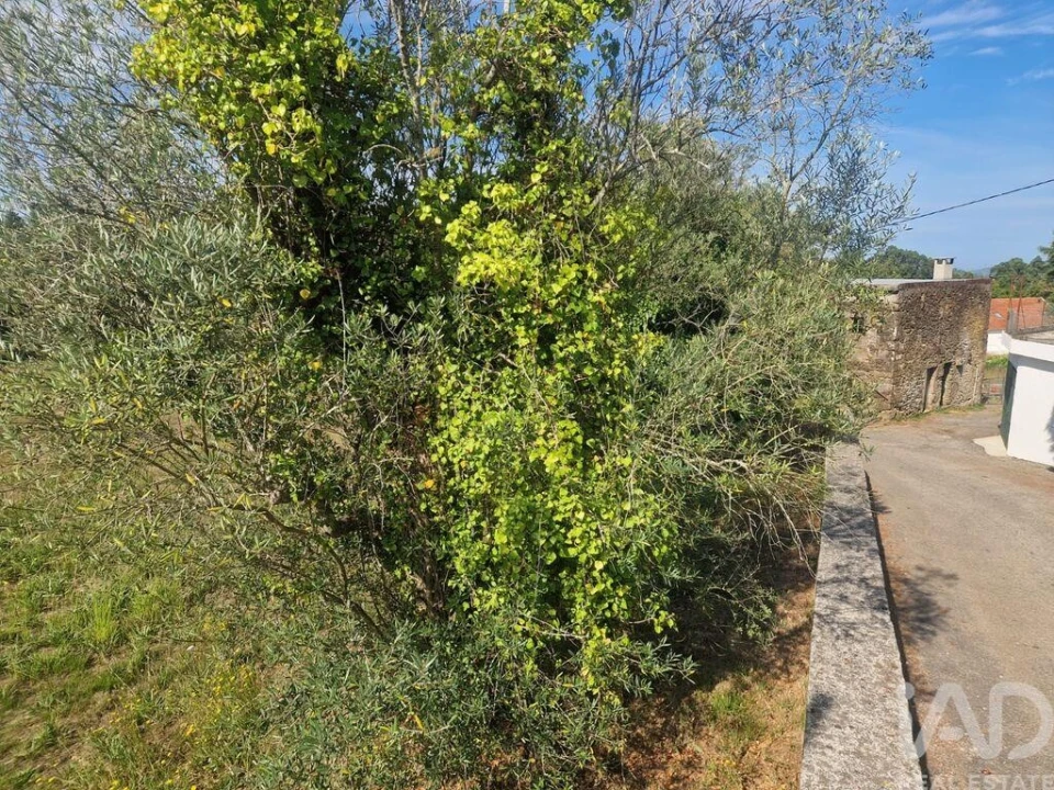 Terreno para Venda em Montaria Foto 12