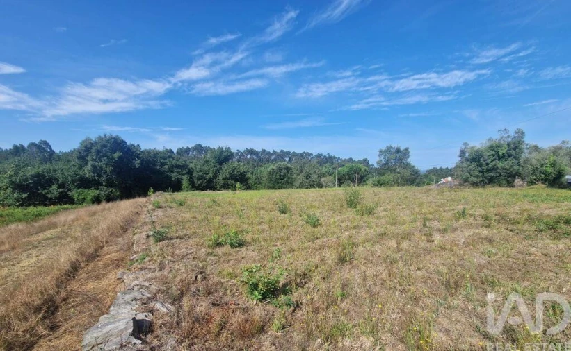 Terreno para Venda em Montaria Foto 18