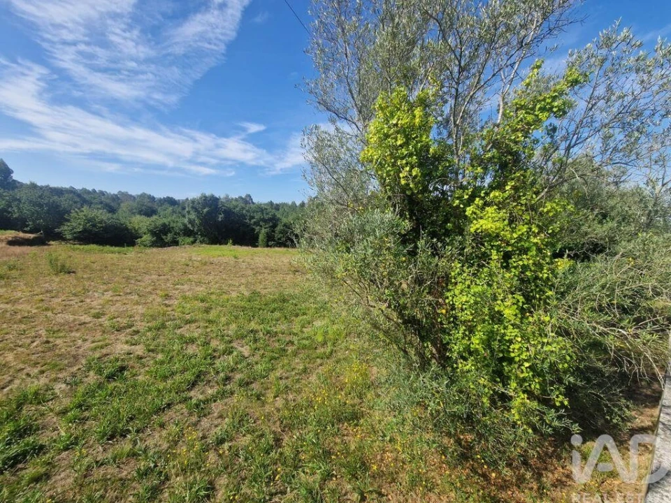 Terreno para Venda em Montaria Foto 5