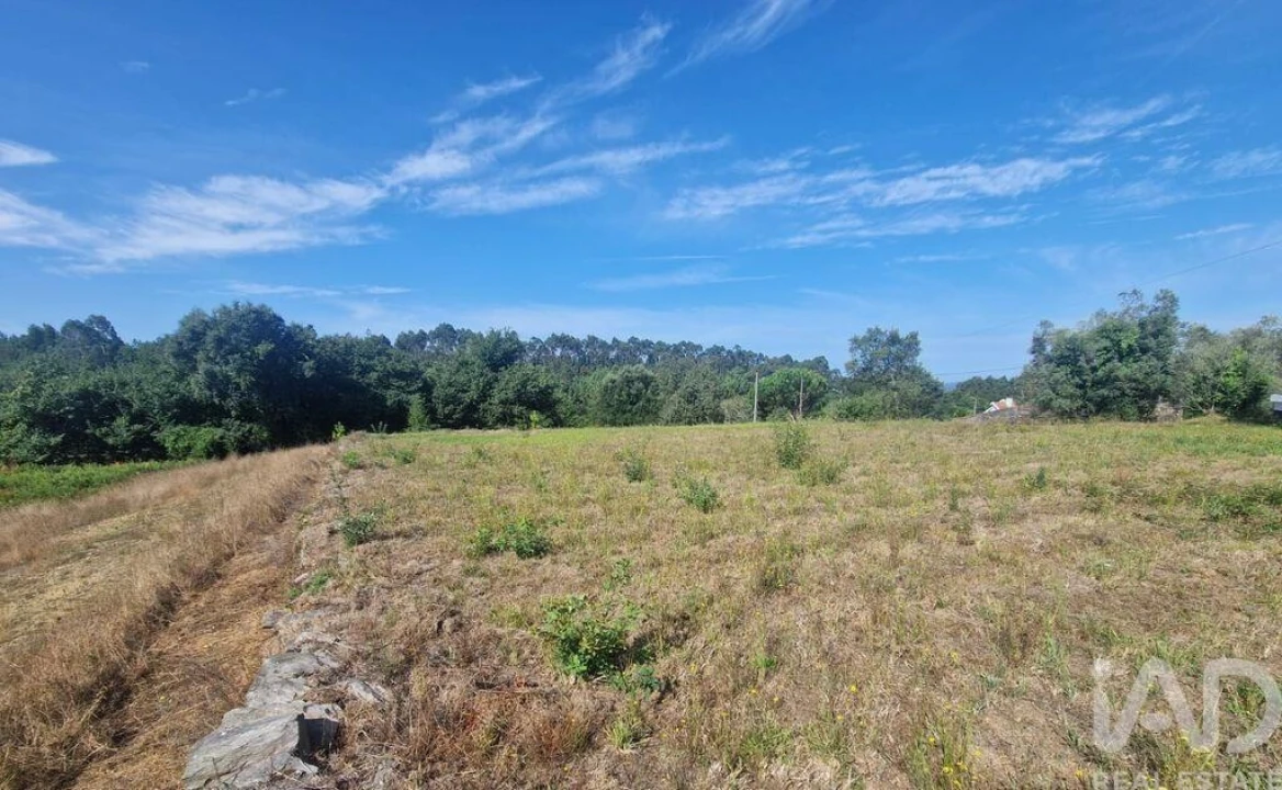Terreno para Venda em Montaria Foto 18