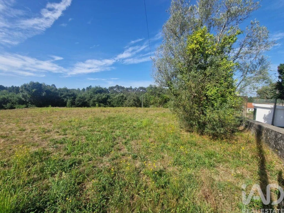 Terreno para Venda em Montaria Foto 9