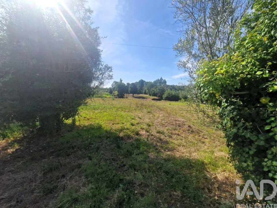 Terreno para Venda em Montaria Foto 14
