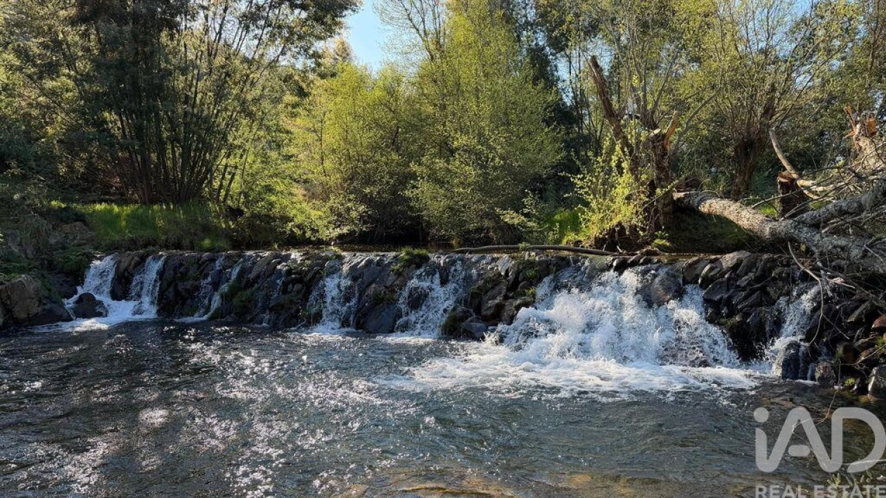 Moradia T4 para Arrendamento em Mação, Penhascoso e Aboboreira Foto 7
