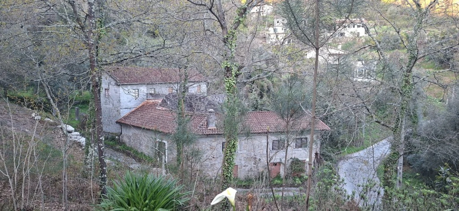 Quinta T2 para Venda em Bouro (Santa Marta) Foto 8