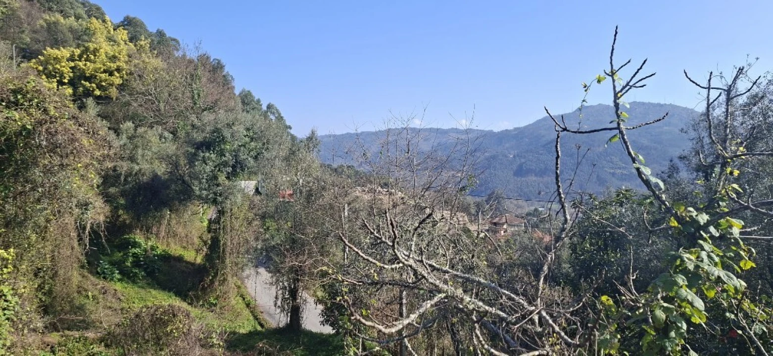 Quinta T2 para Venda em Bouro (Santa Marta) Foto 7