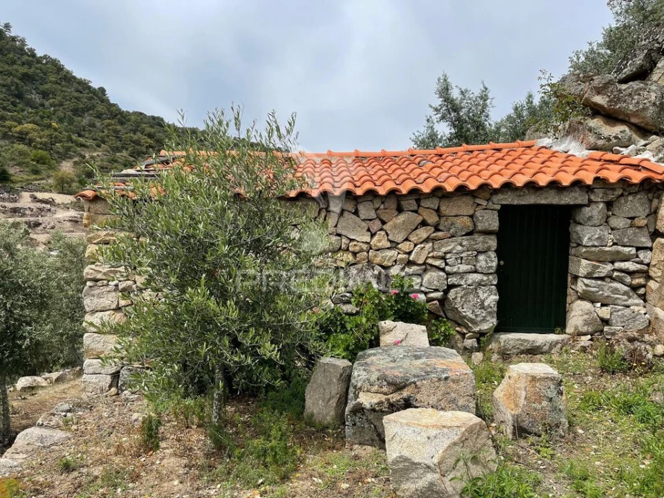 Moradia T2 para Venda em Vilarinho da Castanheira Foto 1