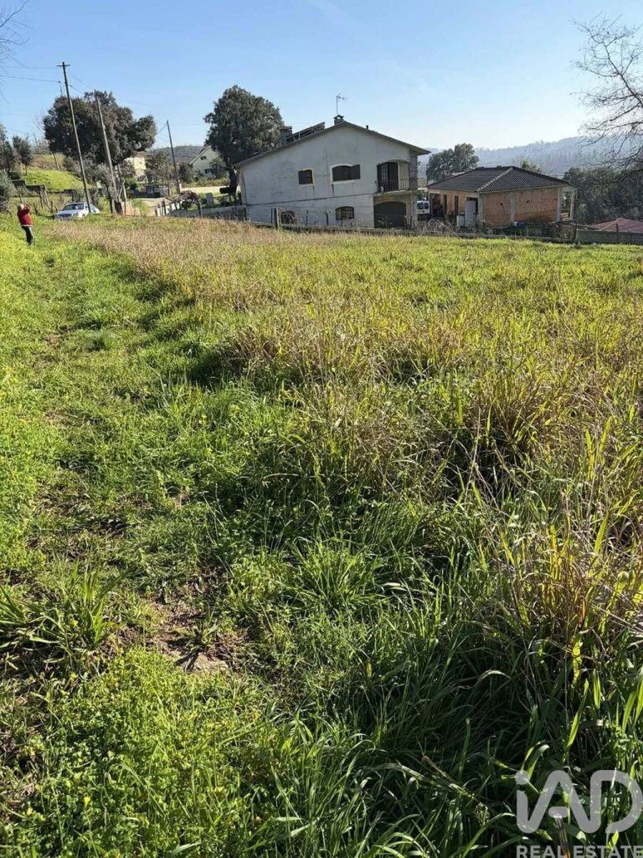 Terreno para Venda em Macinhata do Vouga Foto 6